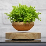 磁悬浮植物礼品 创意空中小木纹盆栽高档高科技摆